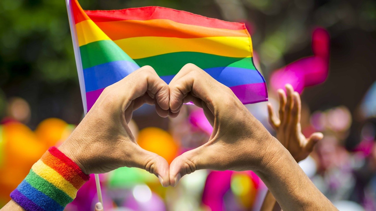 dia internacional diversidad